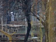 Imagine atasata: Bega - 2014.12.10 - 25.jpg